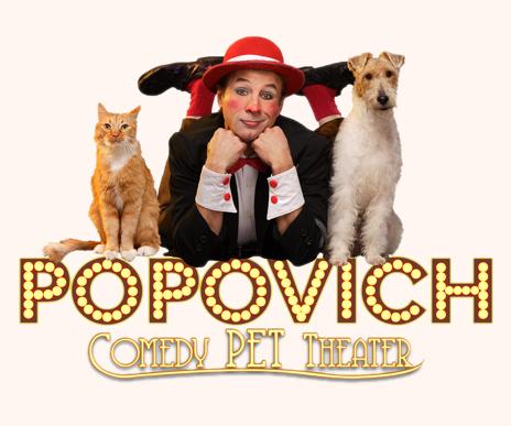 Popovich Logo